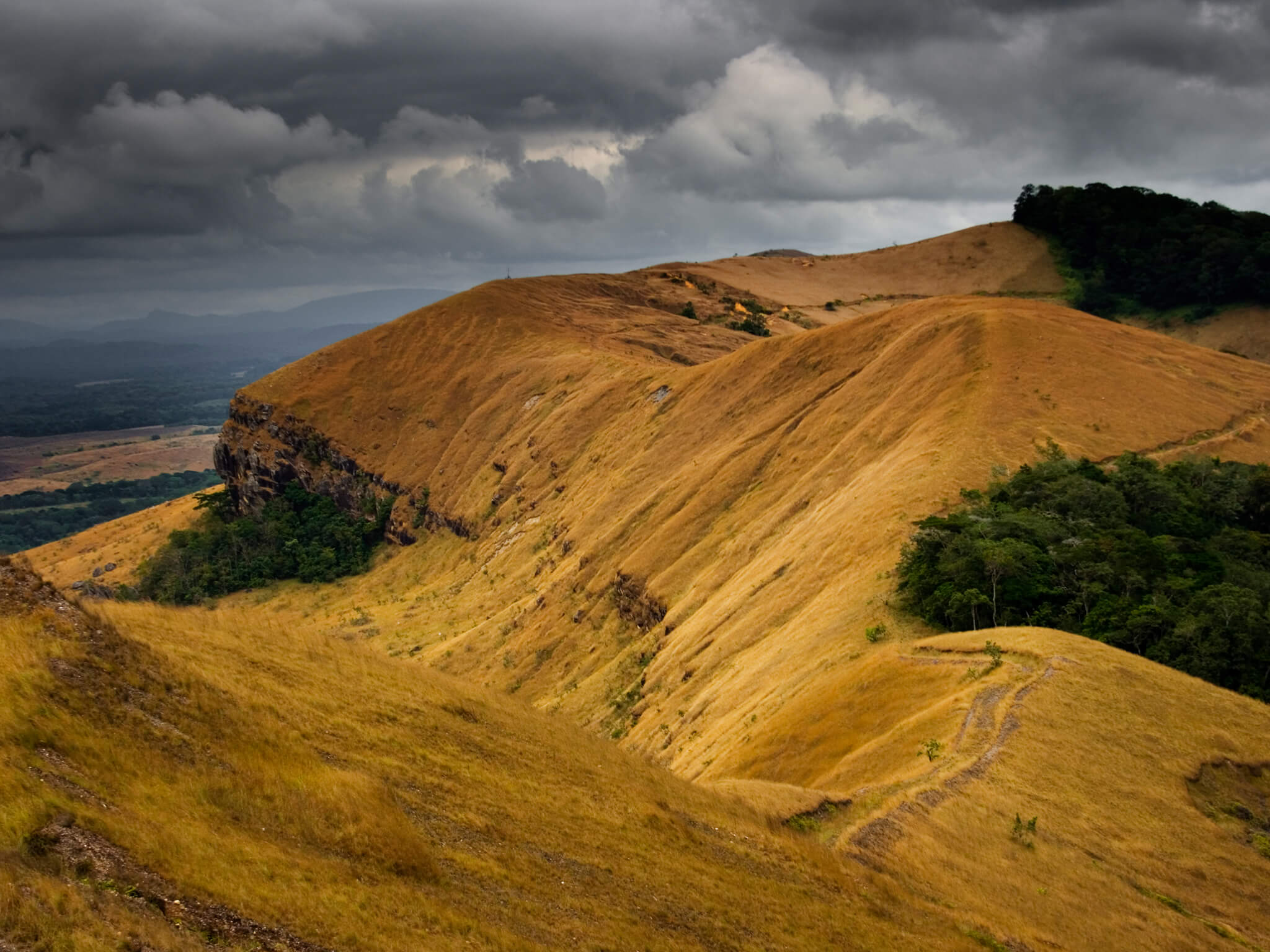 DG_Category_Lope National Park